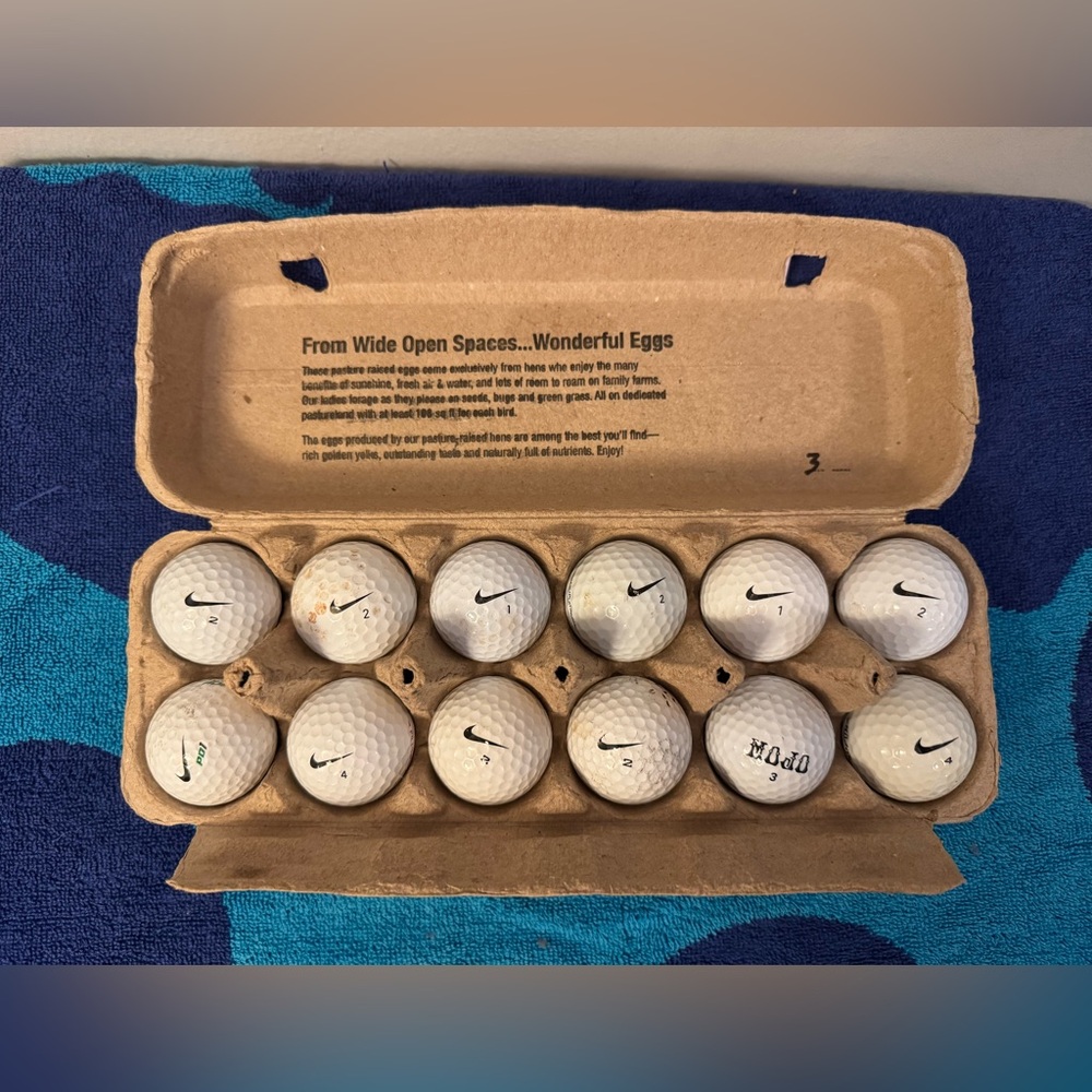 Used Nike White Golf Balls 1 dozen